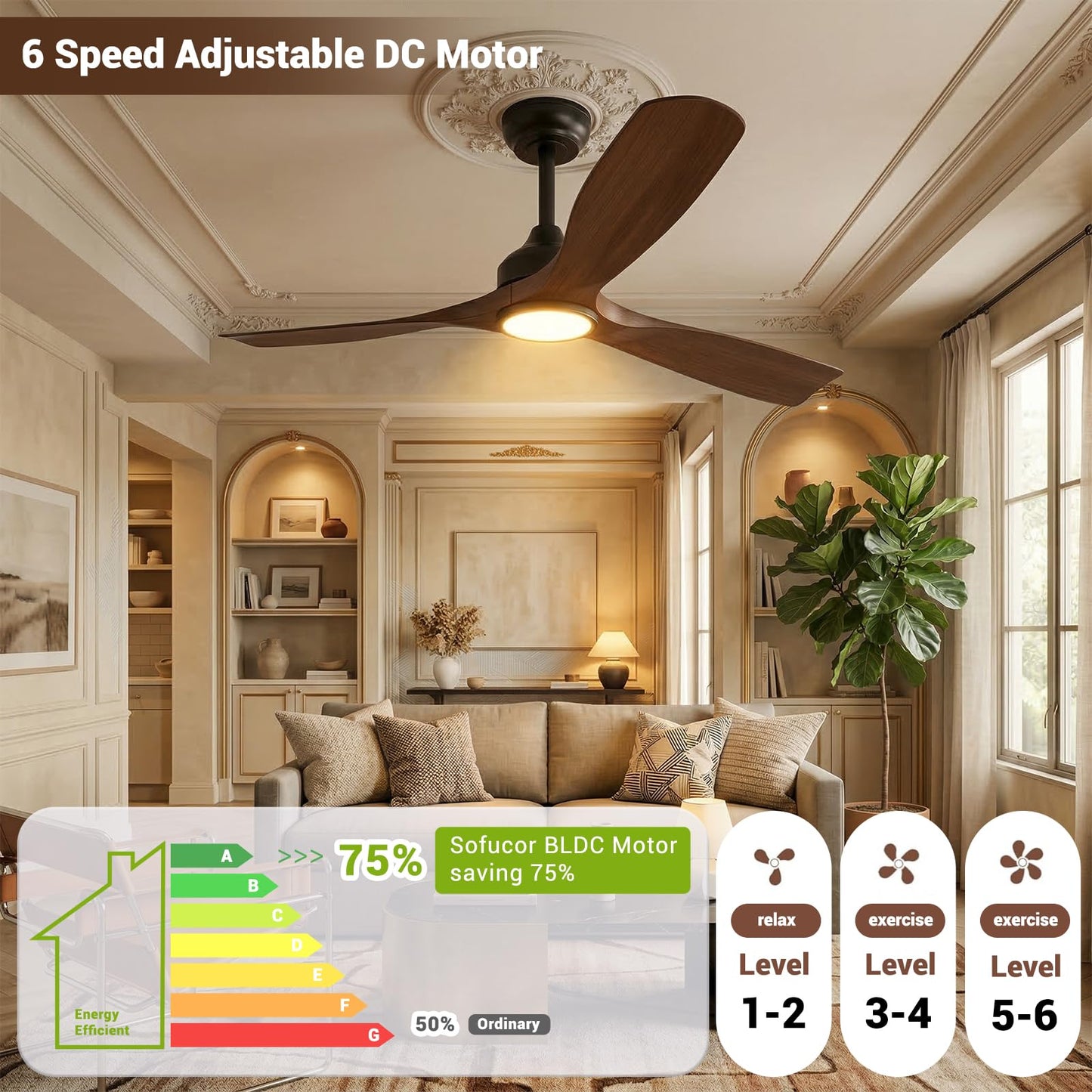 TCL 52 in. Outdoor Ceiling Fan with Light